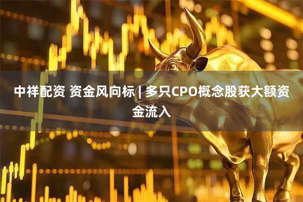 中祥配资 资金风向标 | 多只CPO概念股获大额资金流入