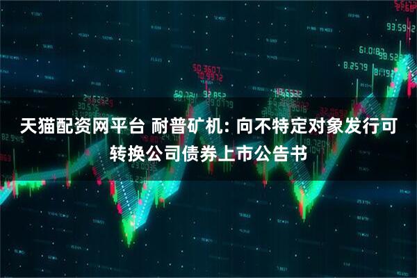 天猫配资网平台 耐普矿机: 向不特定对象发行可转换公司债券上市公告书