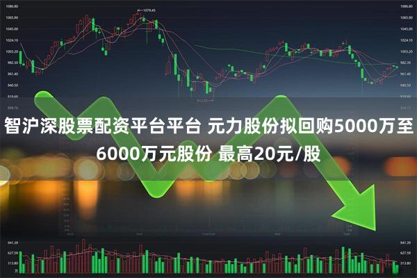 智沪深股票配资平台平台 元力股份拟回购5000万至6000万元股份 最高20元/股