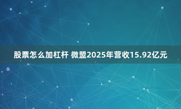 股票怎么加杠杆 微盟2025年营收15.92亿元